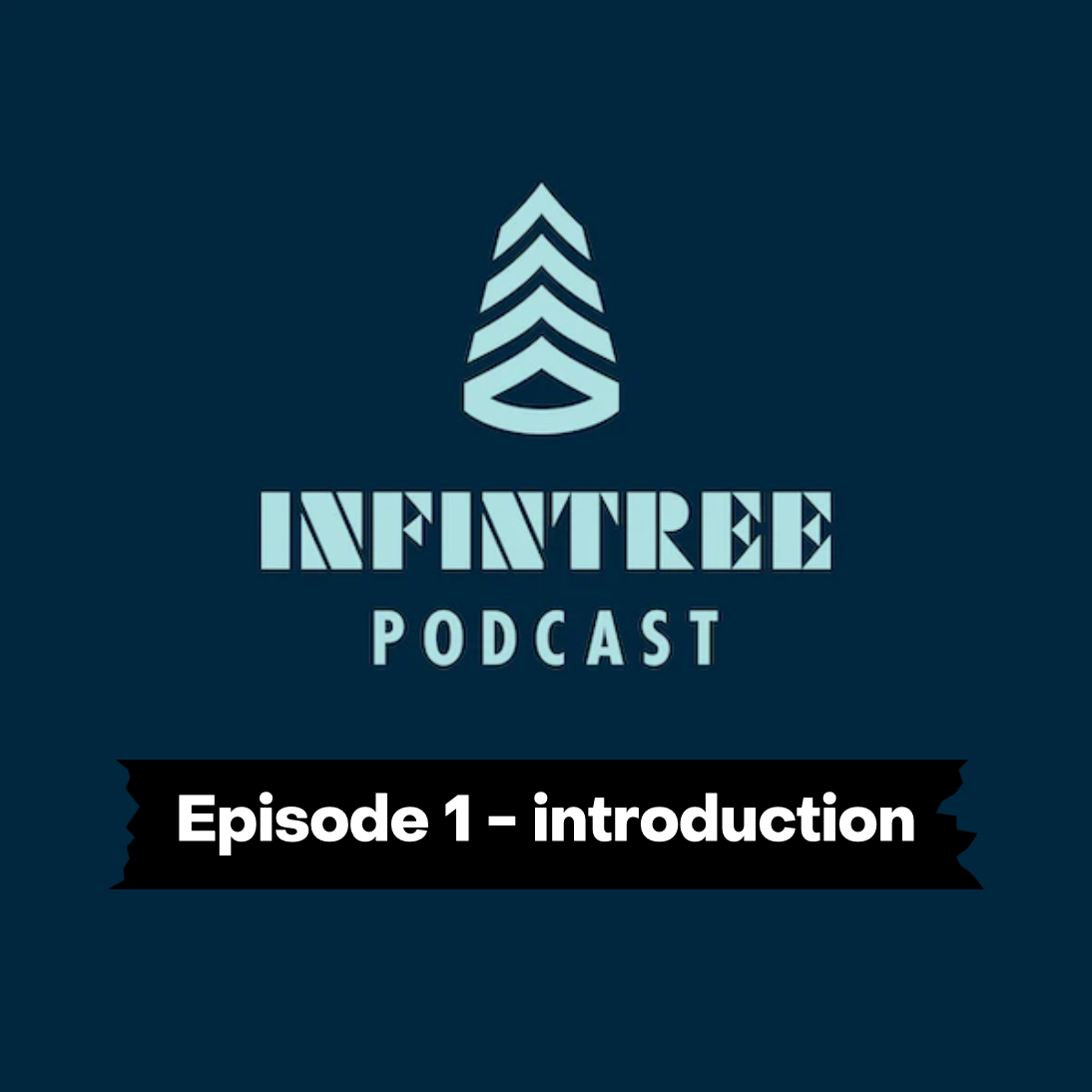 Infintree Podcast for Infinity Surfboards